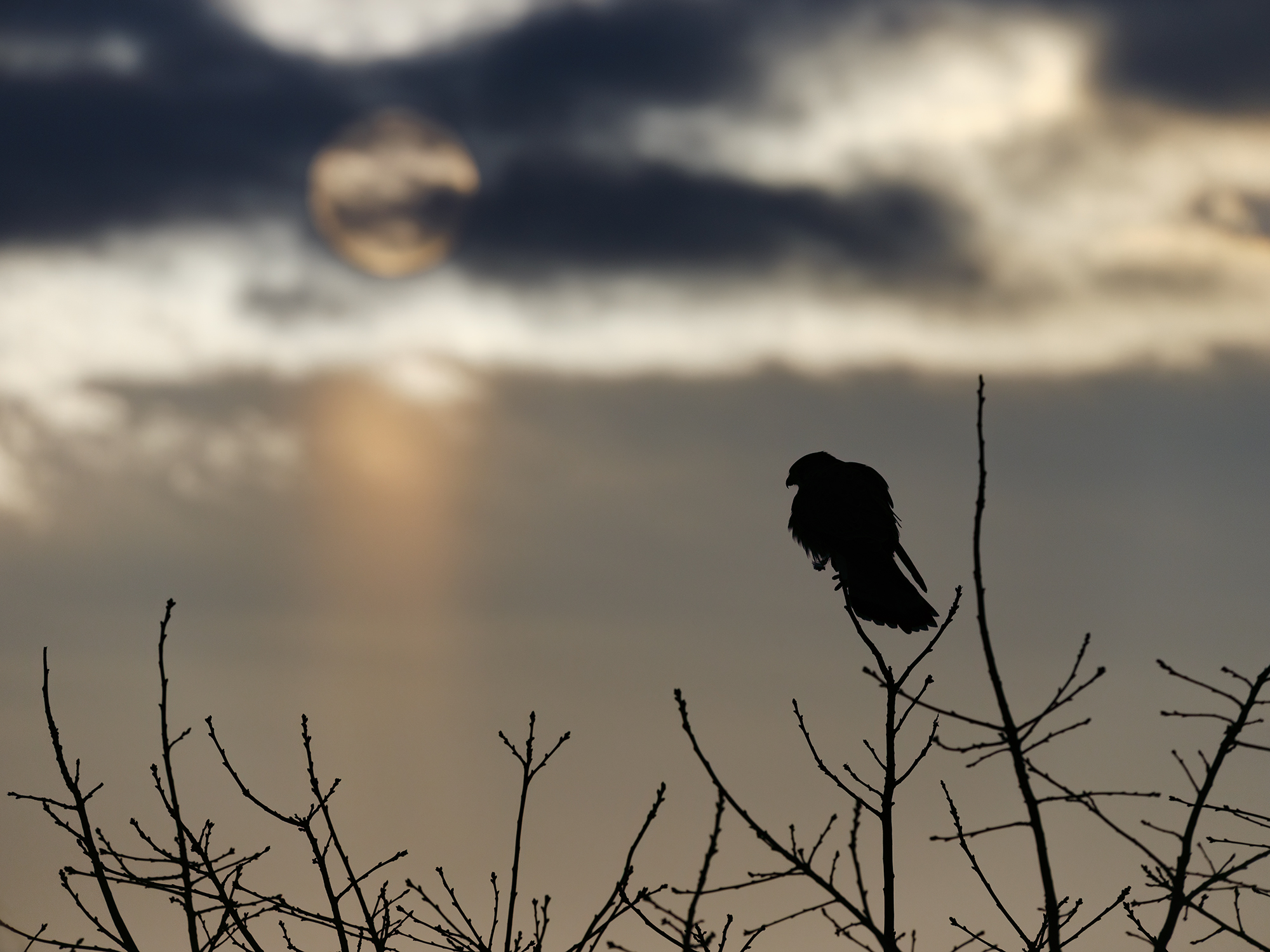 Den Sonnenuntergang genießen